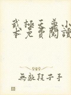 武极天尊小说全本免费阅读