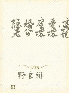 隐婚蜜爱,高冷老公坏坏宠