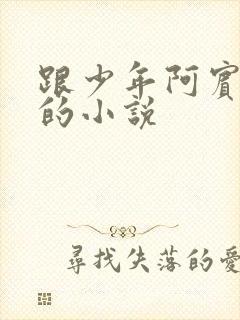 跟少年阿宾一样的小说