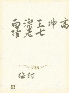 白洁王坤高义孙倩老七