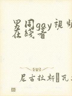 男同gay视频在线看