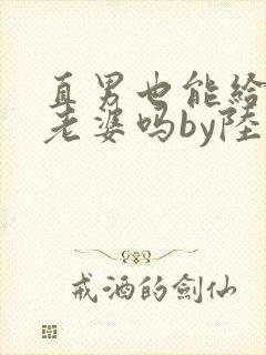 直男也能给人当老婆吗by陆酌言小说