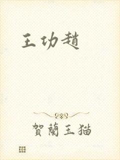 王功赵