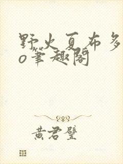 野火夏布多昂po笔趣阁