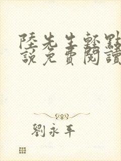 陆先生轻点抱小说免费阅读
