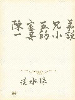 陈家五兄弟共娶一妻的小说陈季安