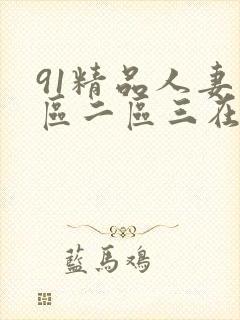 91精品人妻一区二区三在