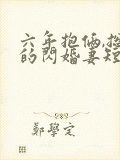 六年抱俩,总裁的闪婚妻短剧