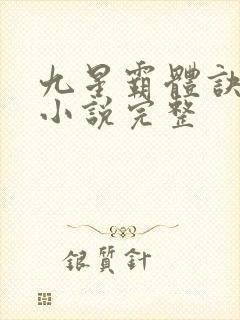 九星霸体诀有声小说完整封面