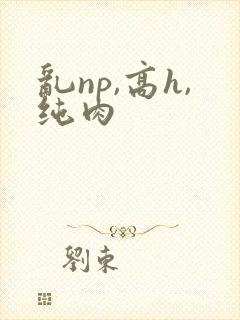 乱np,高h,纯肉