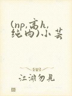 (np,高h,纯肉)小芸