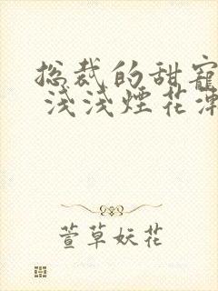 总裁的甜宠娇妻 浅浅烟花渐迷离