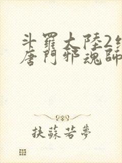斗罗大陆2绝世唐门邪魂师