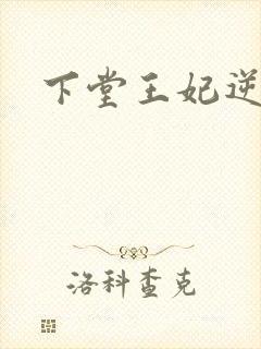 下堂王妃逆袭记