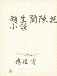 赵生阁陈挽什么小说封面