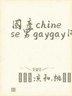 国产chinese男gaygay网站封面