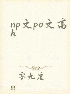 np文po文高h