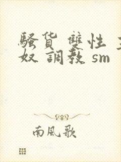 骚货 双性 主奴 调教 sm封面