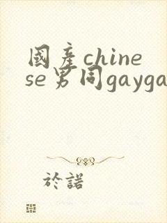 国产chinese男同gaygay封面