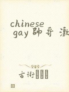 chinese gay 帅哥 激情