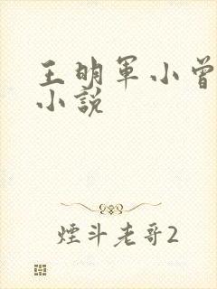 王明军小曾有声小说封面