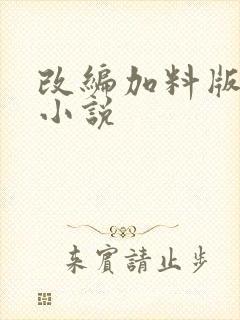 改编加料版同人小说