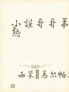 小说哥哥弟弟亲热封面