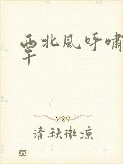 西北风呼啸的中午