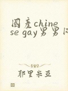 国产chinese gay男男网站