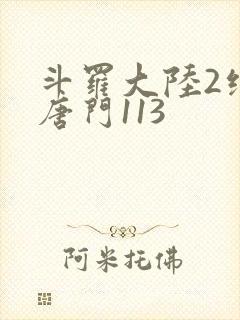 斗罗大陆2绝世唐门113封面