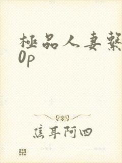 极品人妻系列50p封面