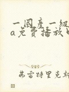 一国产一级淫片a免费播放口封面