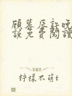 顾慕辰许晚音小说免费阅读最新章节封面