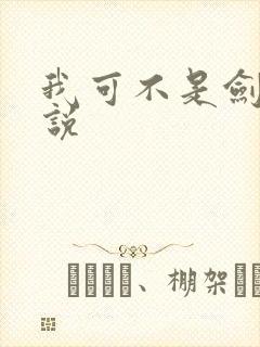 我可不是剑神小说