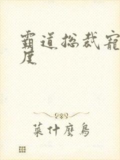 霸道总裁宠妻无度