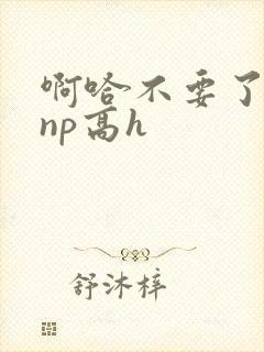 啊哈不要了男男np高h