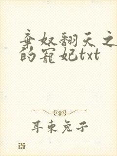 弃奴翻天之少帝的宠妃txt封面