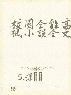 校园全能高手季枫小说全文阅