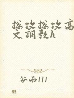 总攻总攻高辣h文调教h