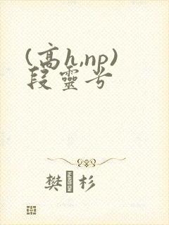 (高h,np)段灵兮