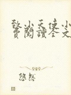 致小天使小说免费阅读全文无弹窗