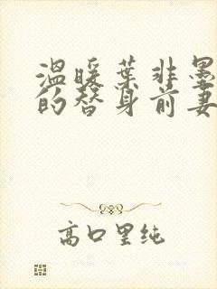 温暖叶非墨总裁的替身前妻