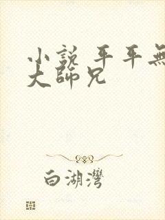 小说 平平无奇大师兄