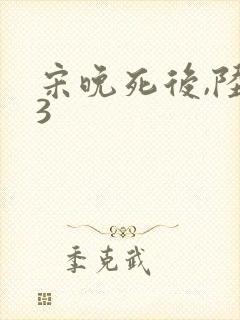 宋晚死后,陆叙3封面