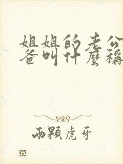 姐姐的老公的爸爸叫什么称呼