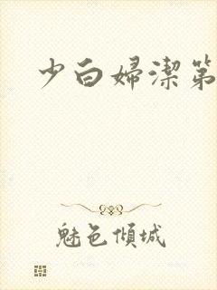 少白妇洁第二部封面