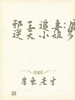 邪王追妻:废材逆天小姐多少字