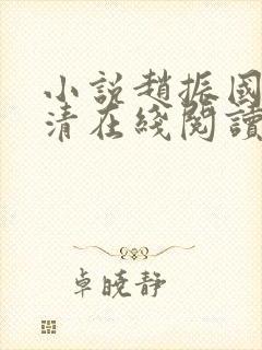 小说赵振国宋婉清在线阅读封面