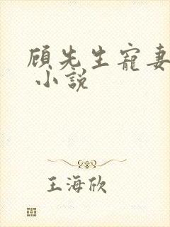 顾先生宠妻有度 小说