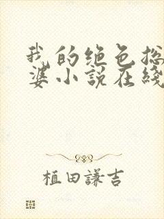我的绝色总裁老婆小说在线阅读